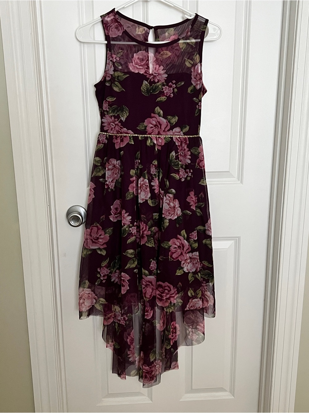 Girls Rare Editions Burgundy Floral High-Low Party Dress with Pink Roses